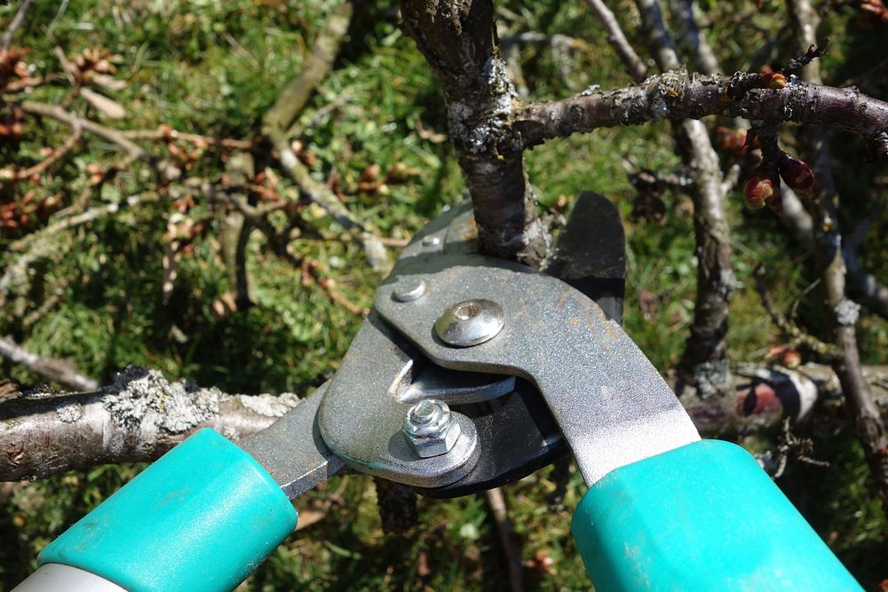 Close up of hose power washing a dirty deck.
